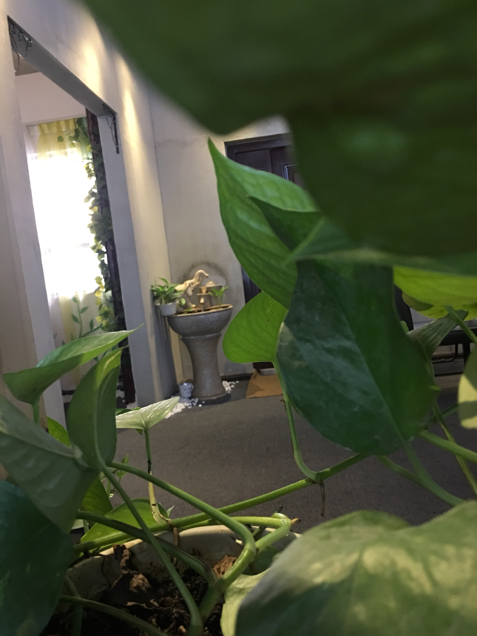 羡诺文化传播有限公司