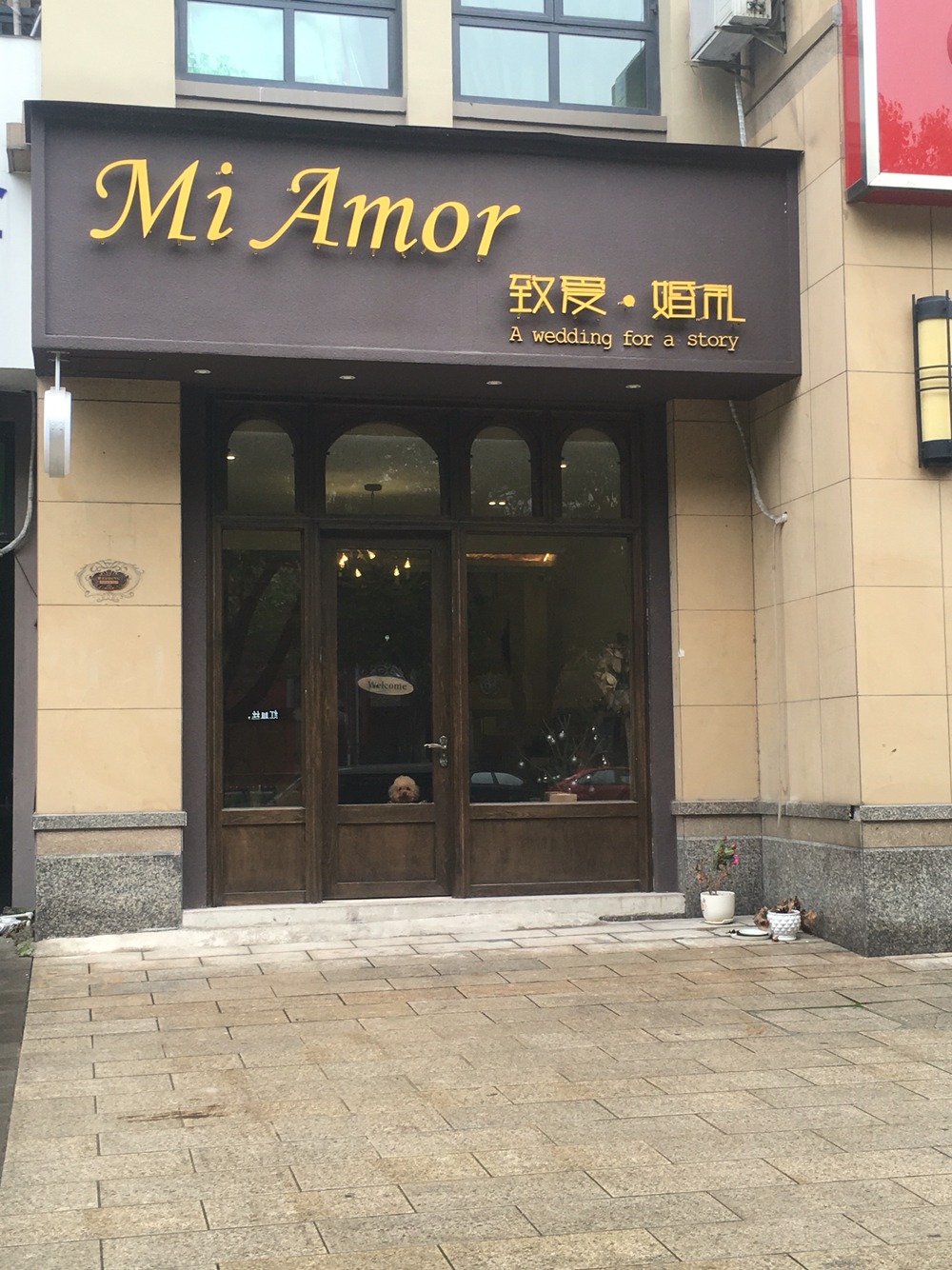 MiAmor致爱婚礼