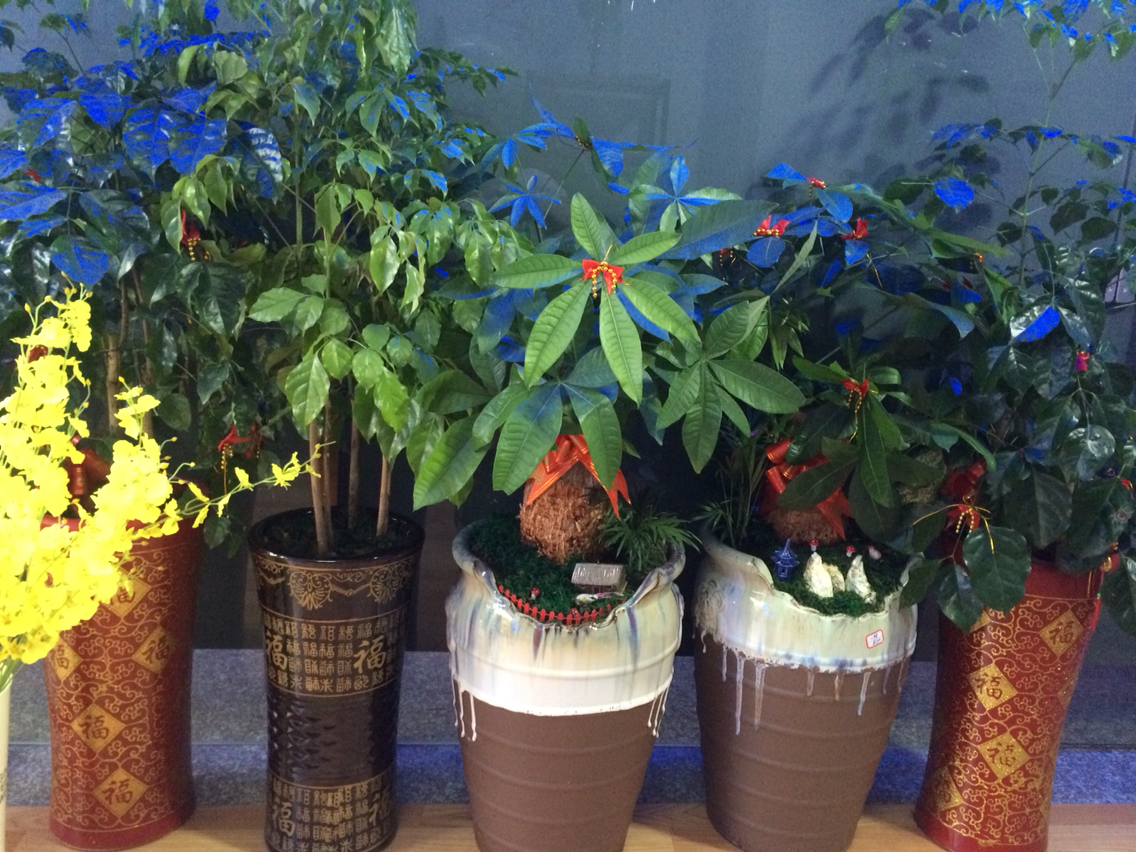 繁花饰界花舍