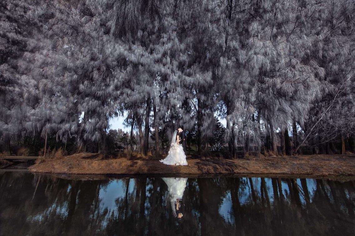 伊特诺婚纱礼服高级定制