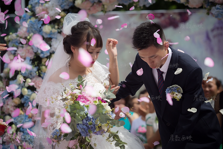质数画映