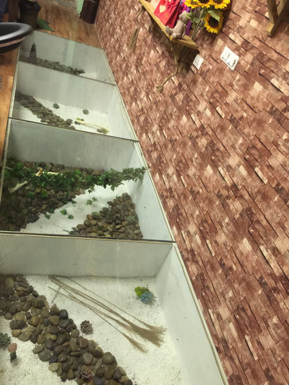 梦鉴婚礼
