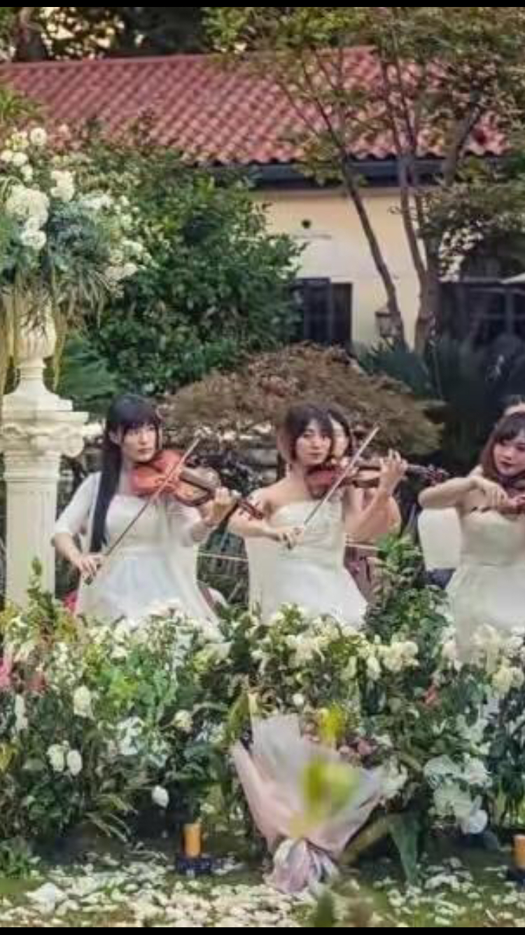 爱的音符--婚礼现场演奏