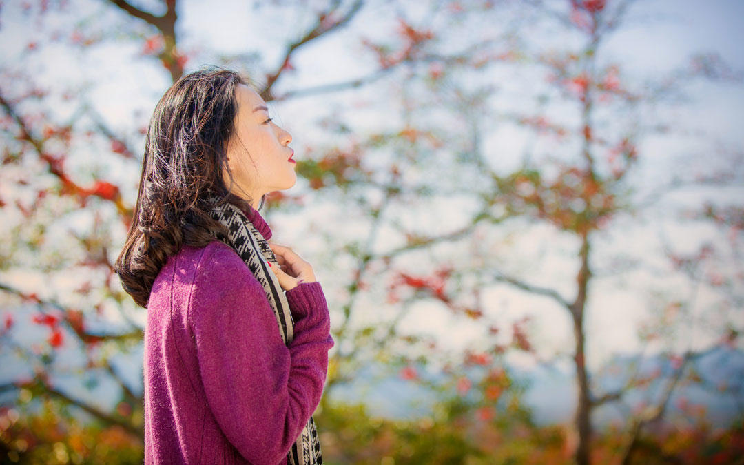 新年热销创套系 三亚湾+半山半岛+六罗/亚龙湾