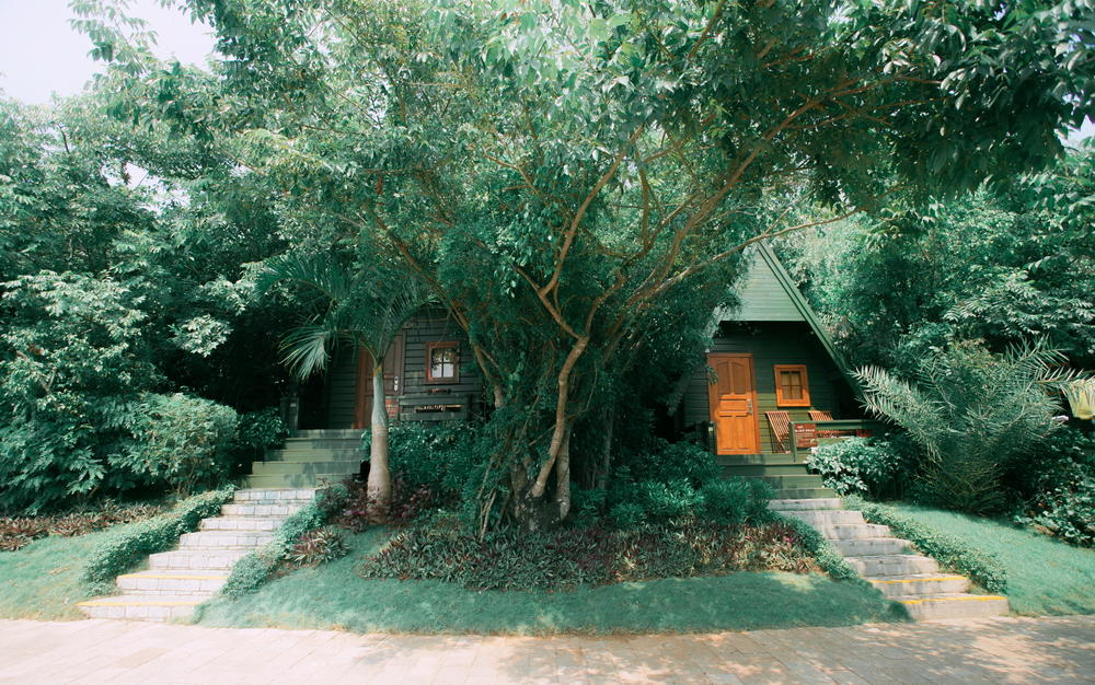 【私人定制】圣托里尼+游艇+花海+马场+海景