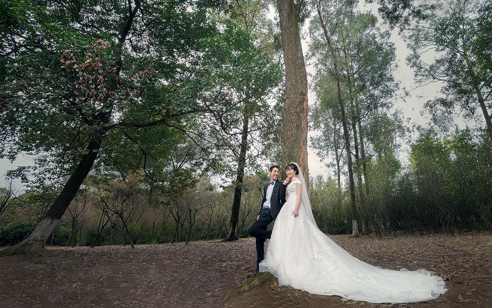 工笔画 新中式  古典简约