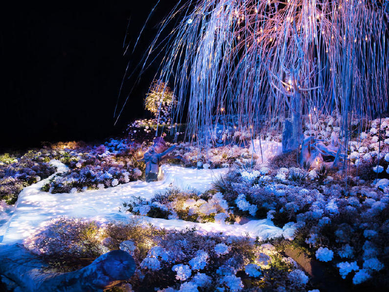 【MOMA魔马·舞台剧婚礼】自然之光 新概念婚礼