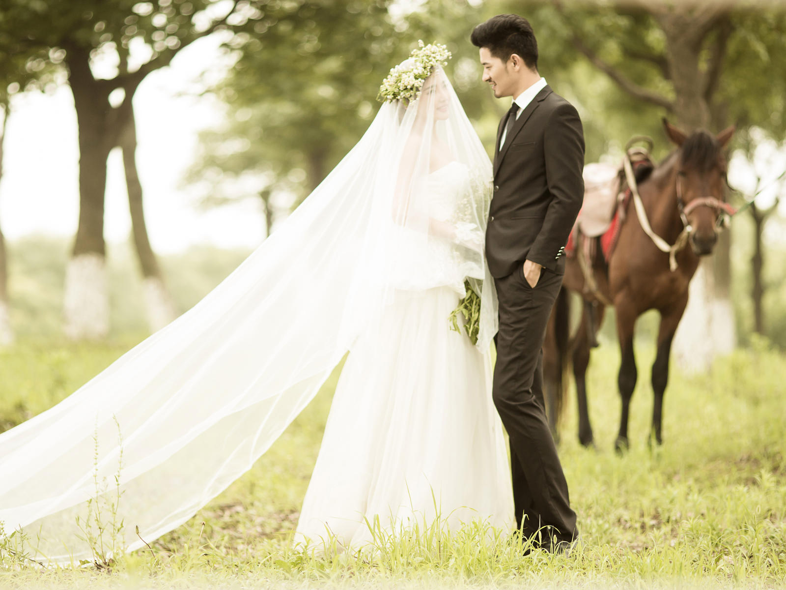 蘇州光合流年婚紗套餐