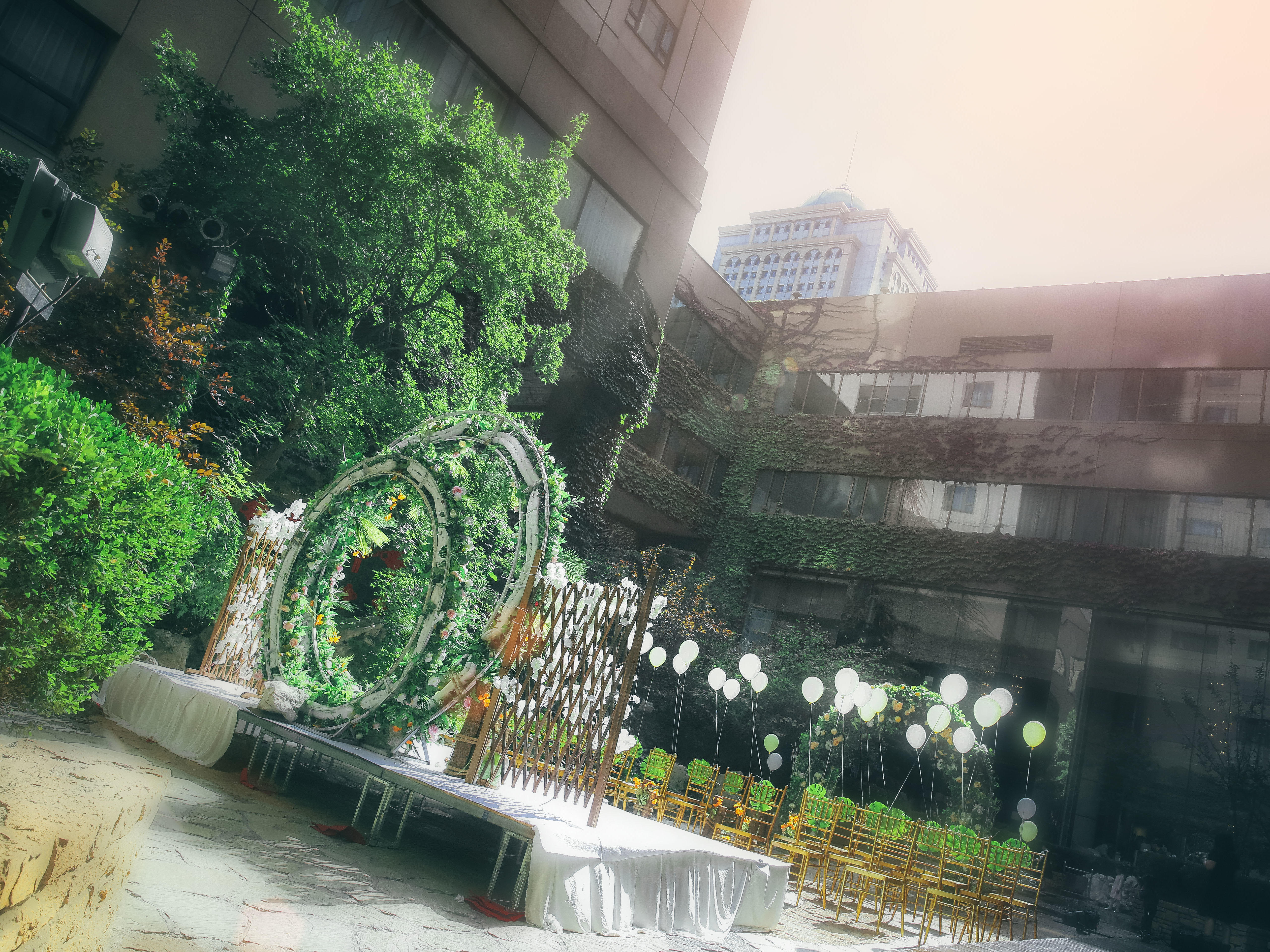 【维度婚礼会馆】森系婚礼  树，见证幸福