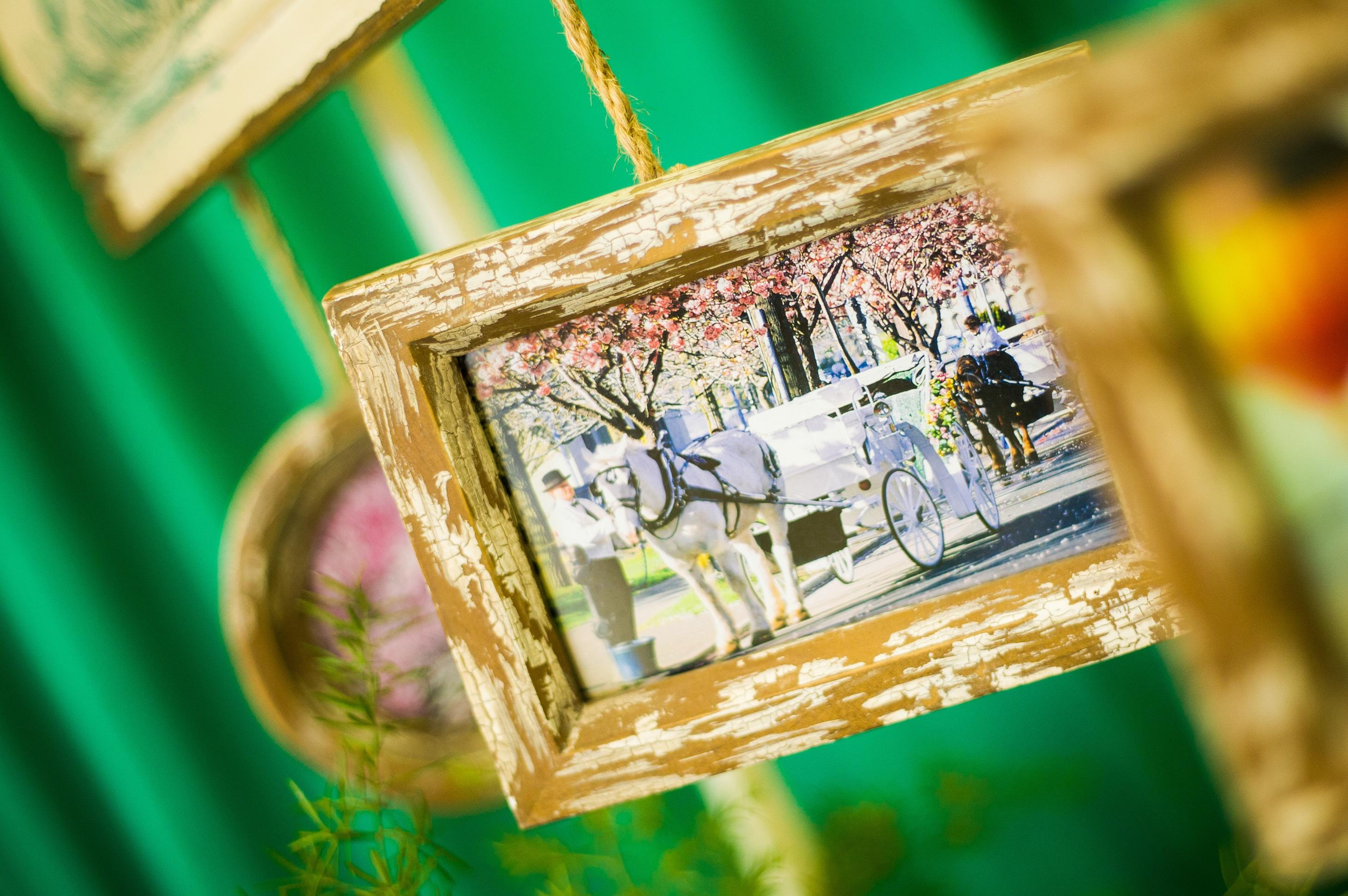 今森，与你彤行