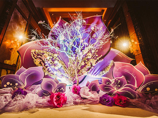 Violet——閔行星河灣