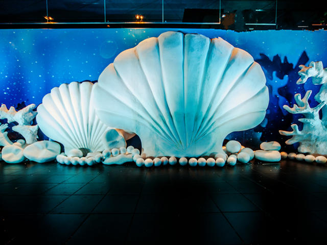 【花間悅】海洋藍色系夢幻旅程（包含四大）