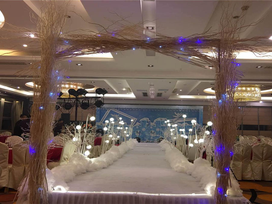 兮心爱梦冰雪主题婚礼一站式套餐