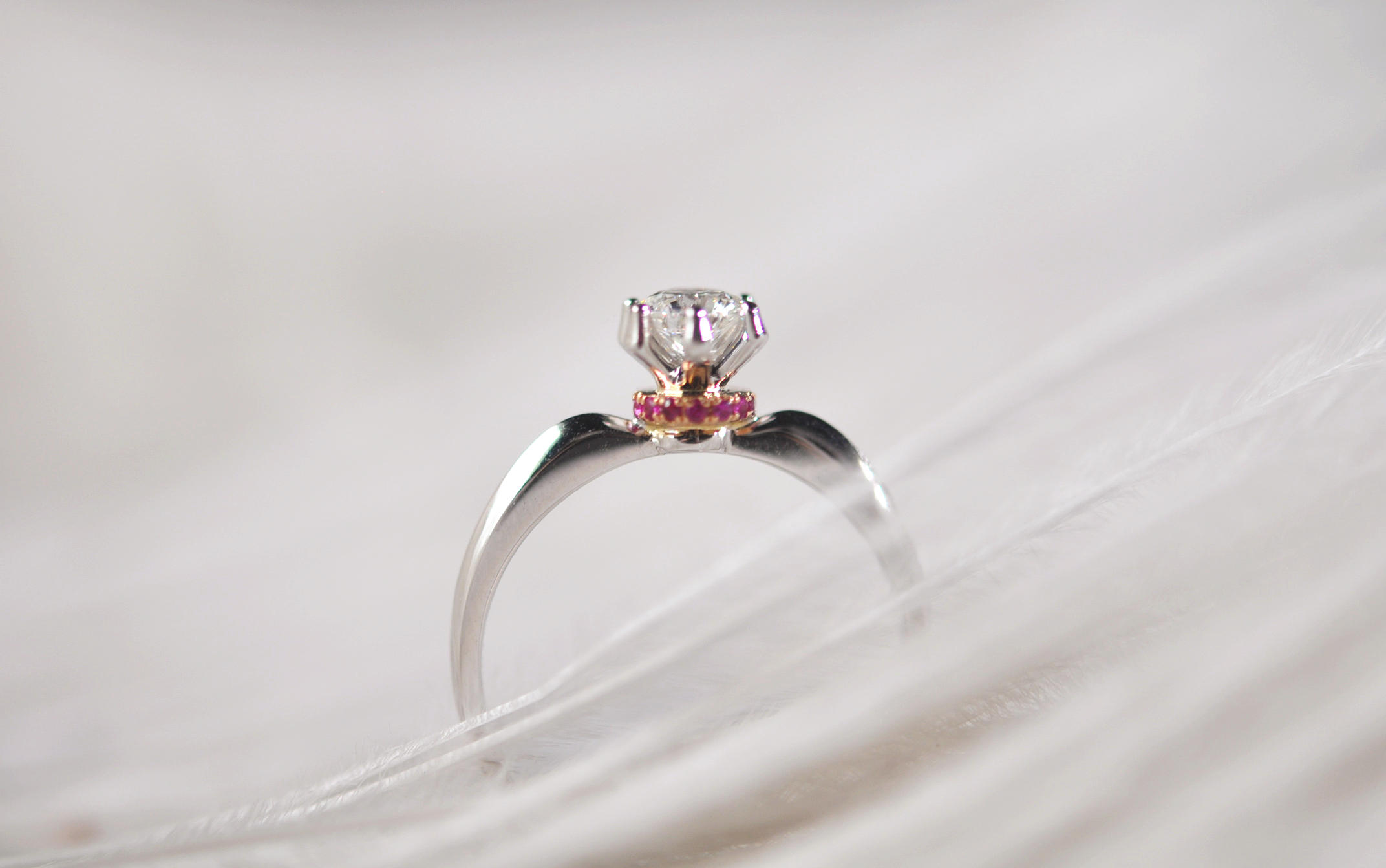 弗珞唯2017秋冬新品——Ruby