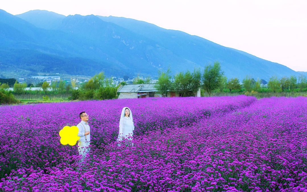 芯驰旅拍一价全包+机票补贴+包邮+总监团队服务