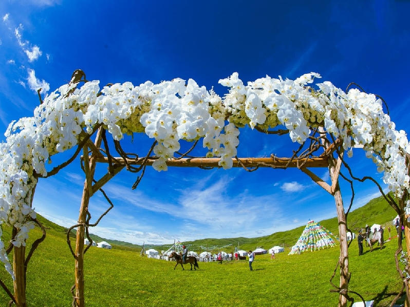 【嫁给你】格桑花の草原婚礼 一边旅行一边结婚系列