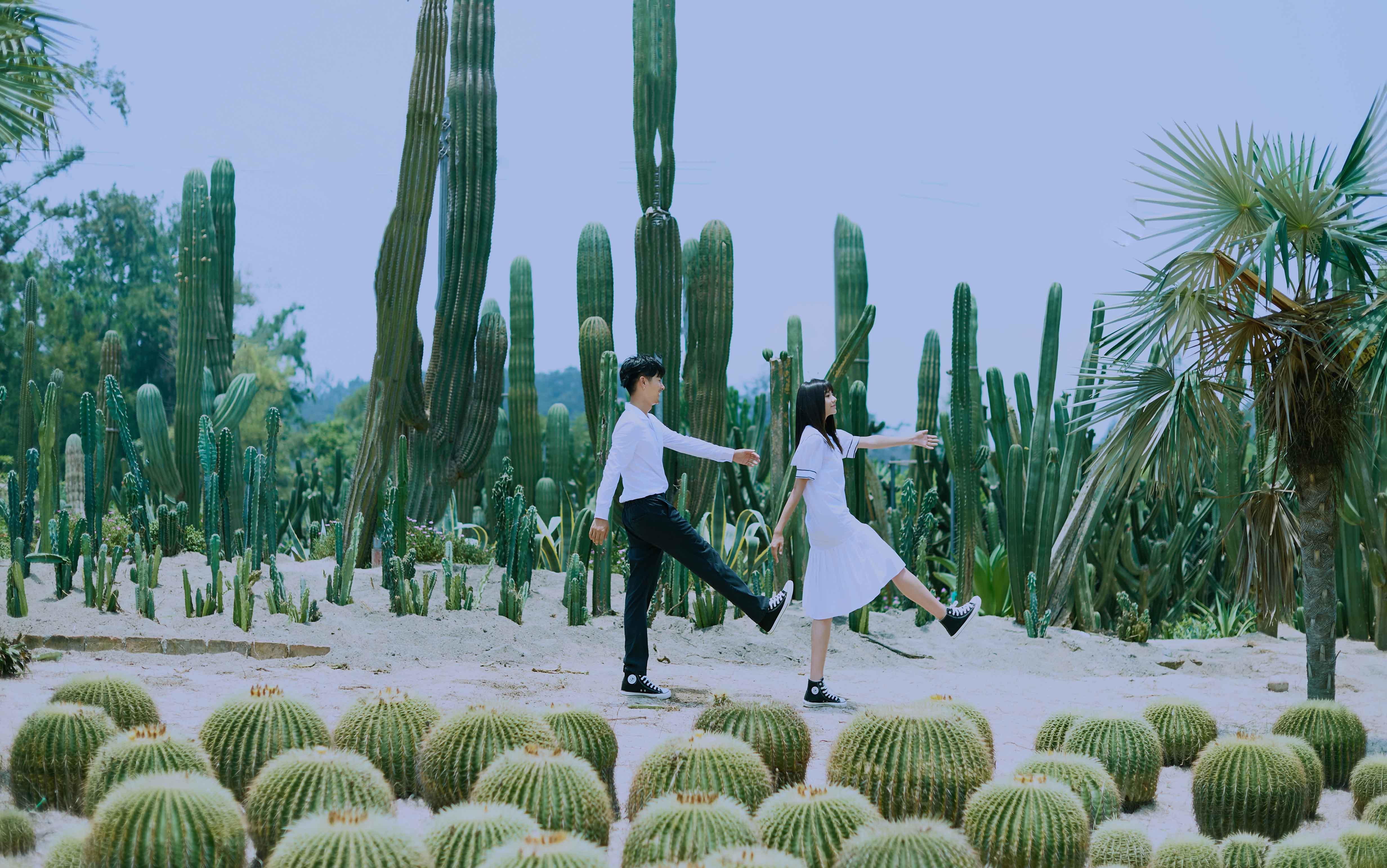 春风十里不如你春季花海+10服10造