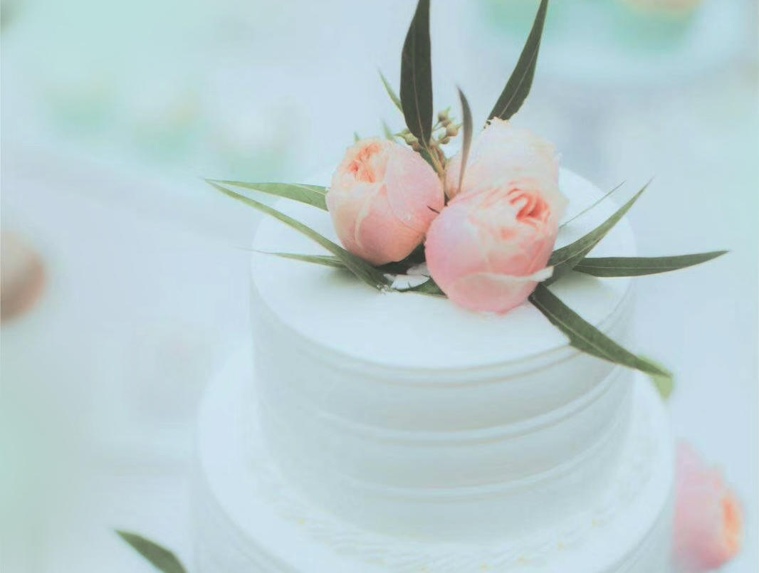 梦格【百灵鸟婚礼 lucky wedding】