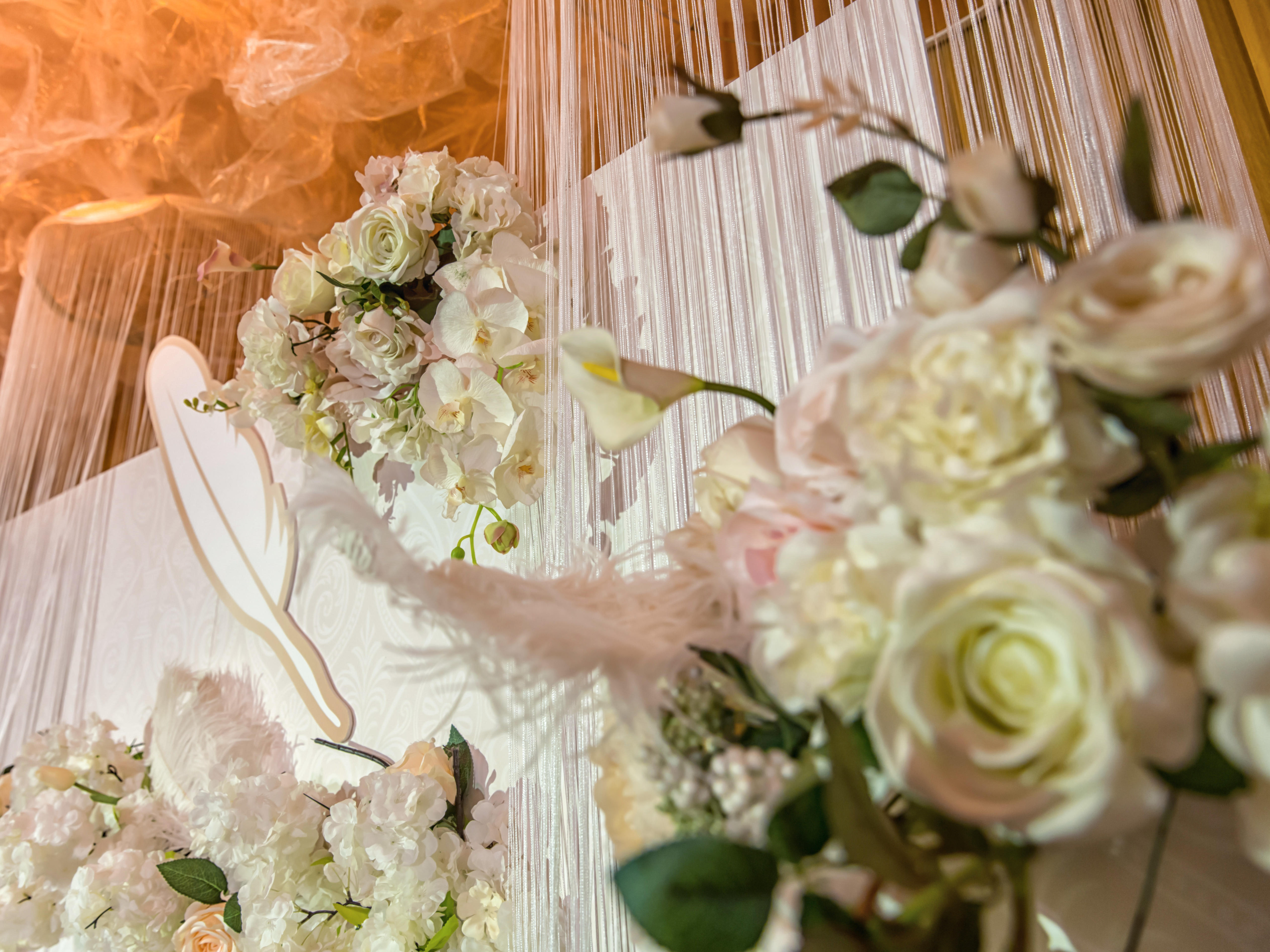 【旋木婚礼】  特别的人