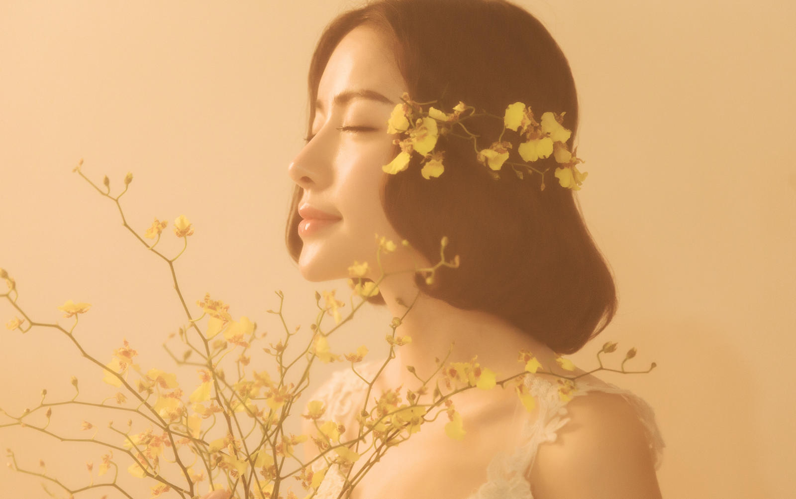 【左岸视界】复古画意系列