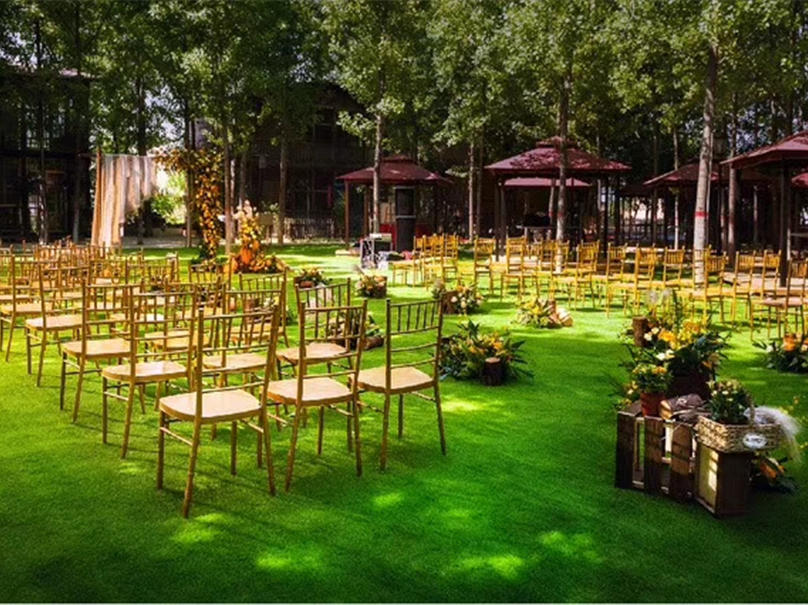 #向日葵#室外田园风小清晰婚礼