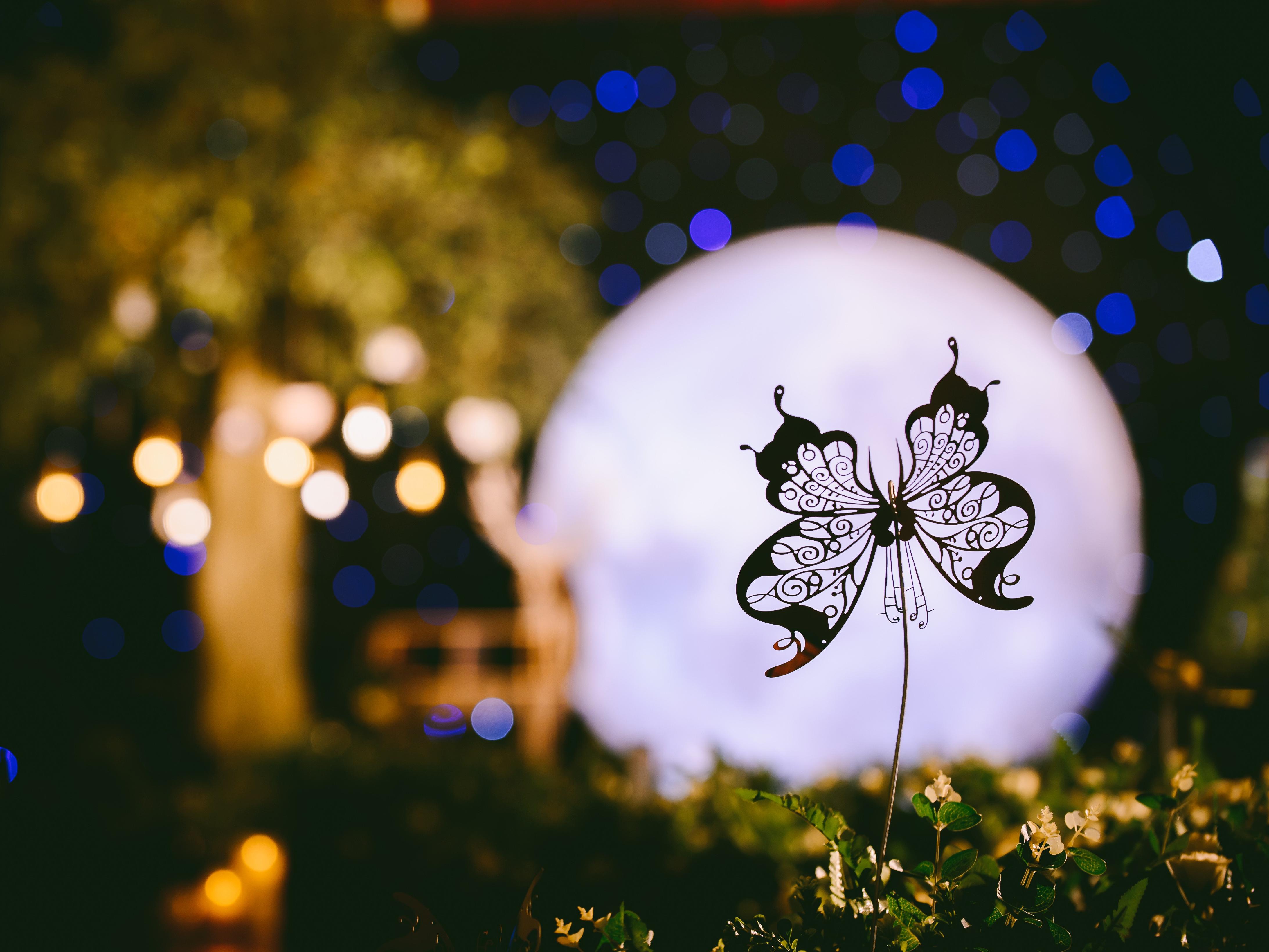 森林花园【小镇风雅 · 榕林以楠】