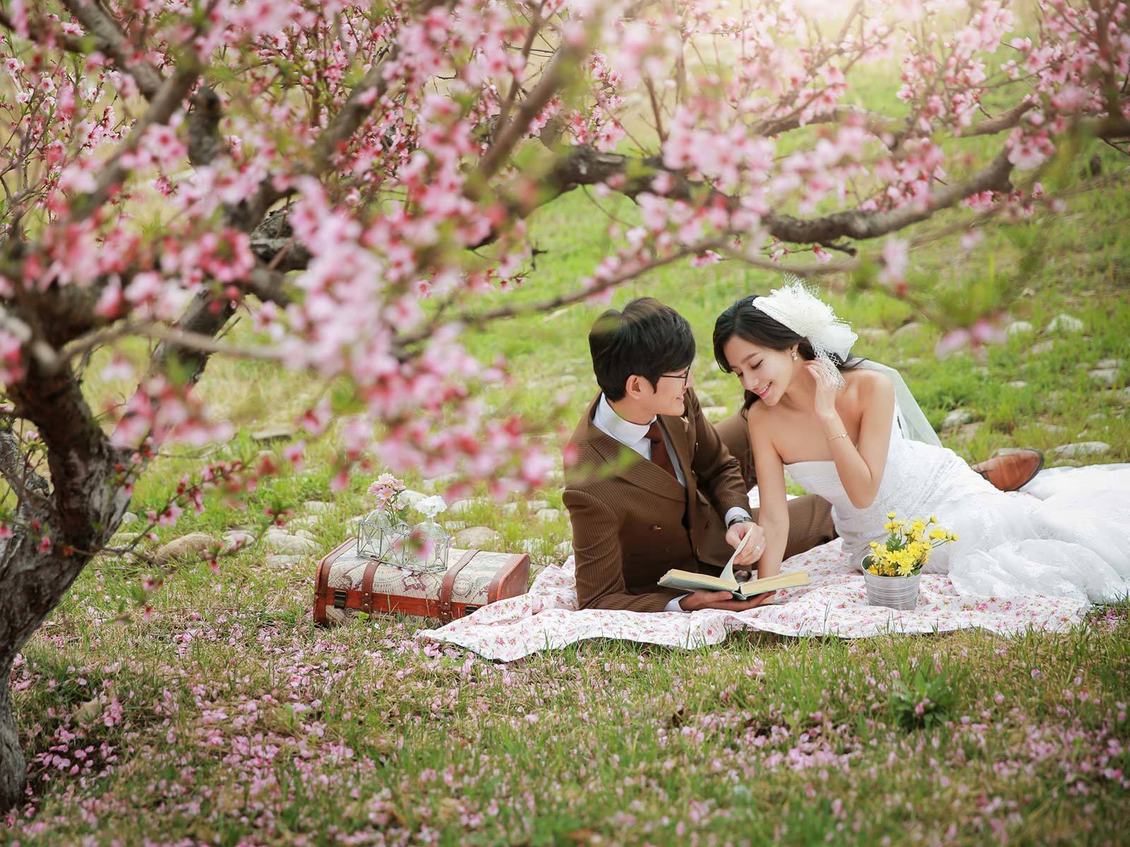 春季繁花韓式花海小清新婚紗照