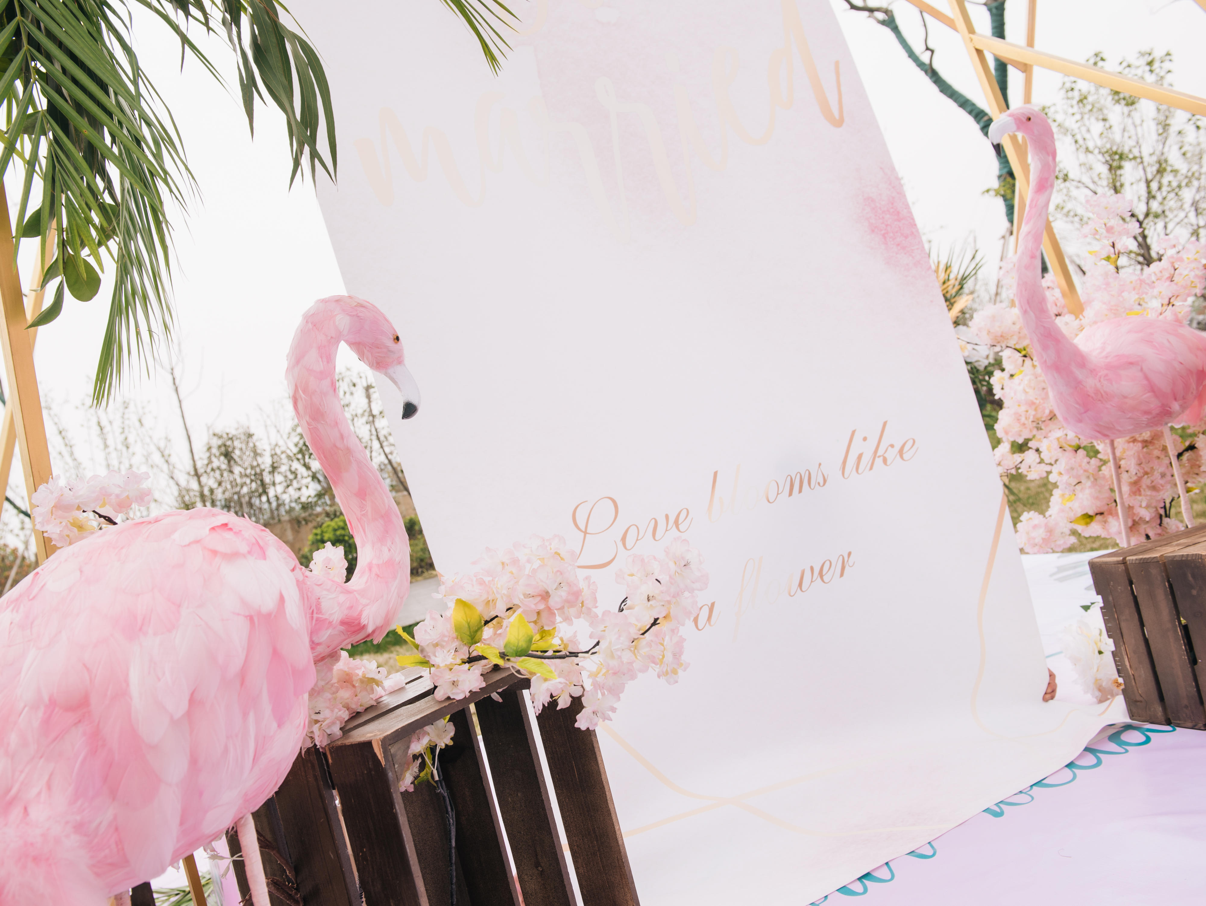 【丽宝原创】户外小清新+网红火烈鸟的草坪婚礼