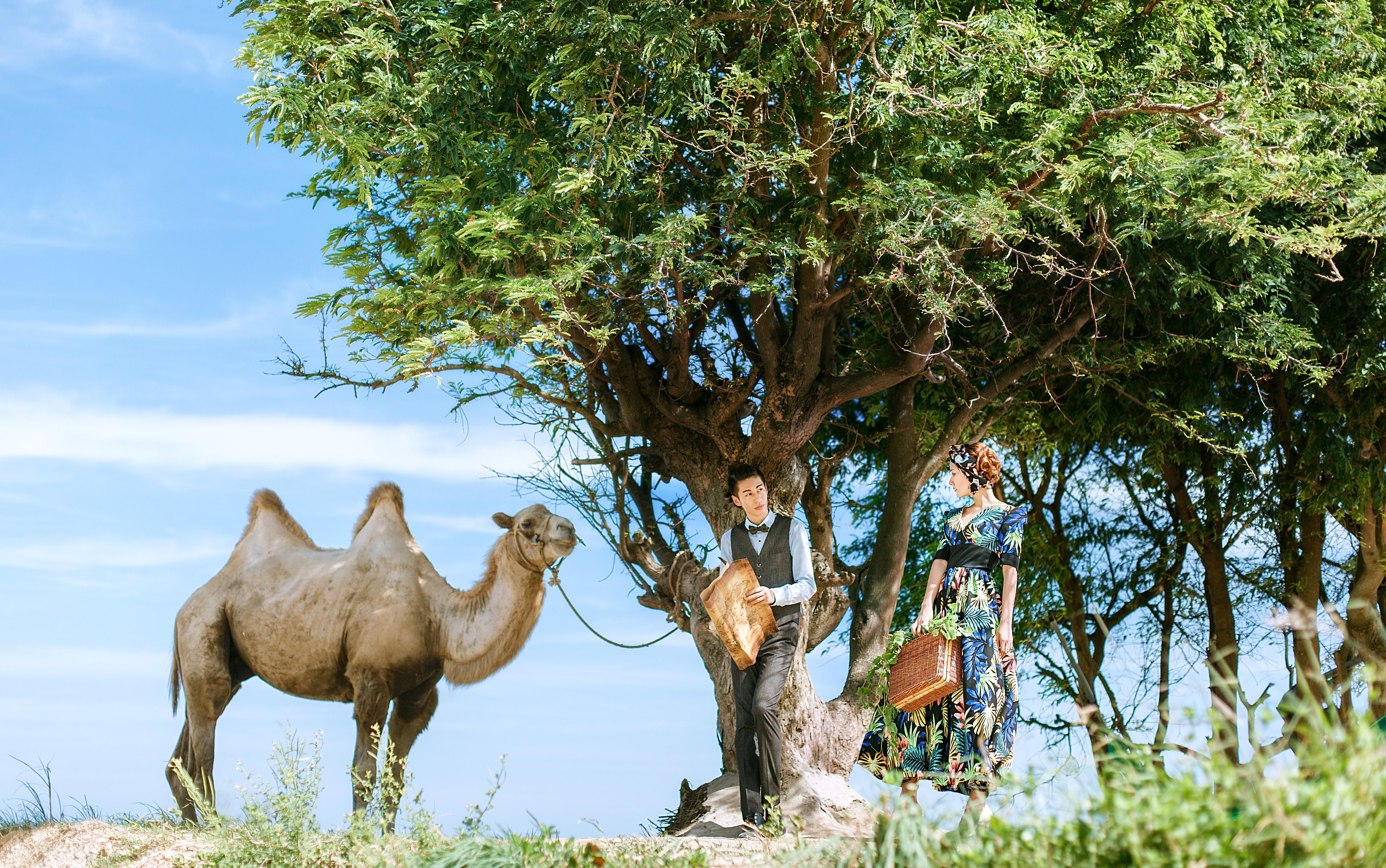 三亚羽诺印象五A级景区拍摄+4天3晚星级蜜月酒店