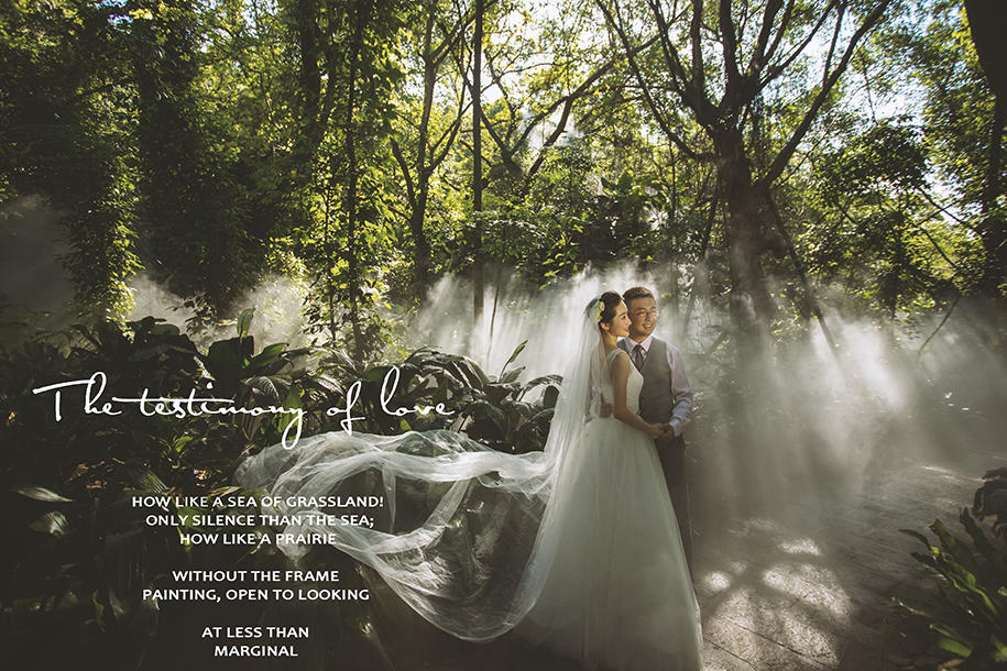 【結(jié)婚必備的】最美結(jié)婚照