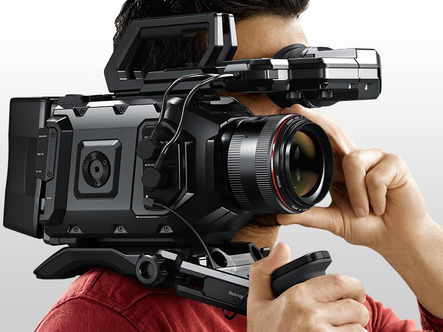 2021年大热【四大金刚】经济套餐 /超值性价比