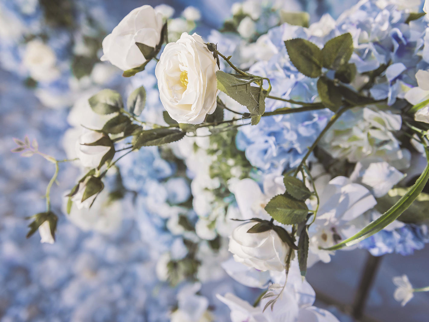 锦上婚礼丨浪漫蓝色 · 星河