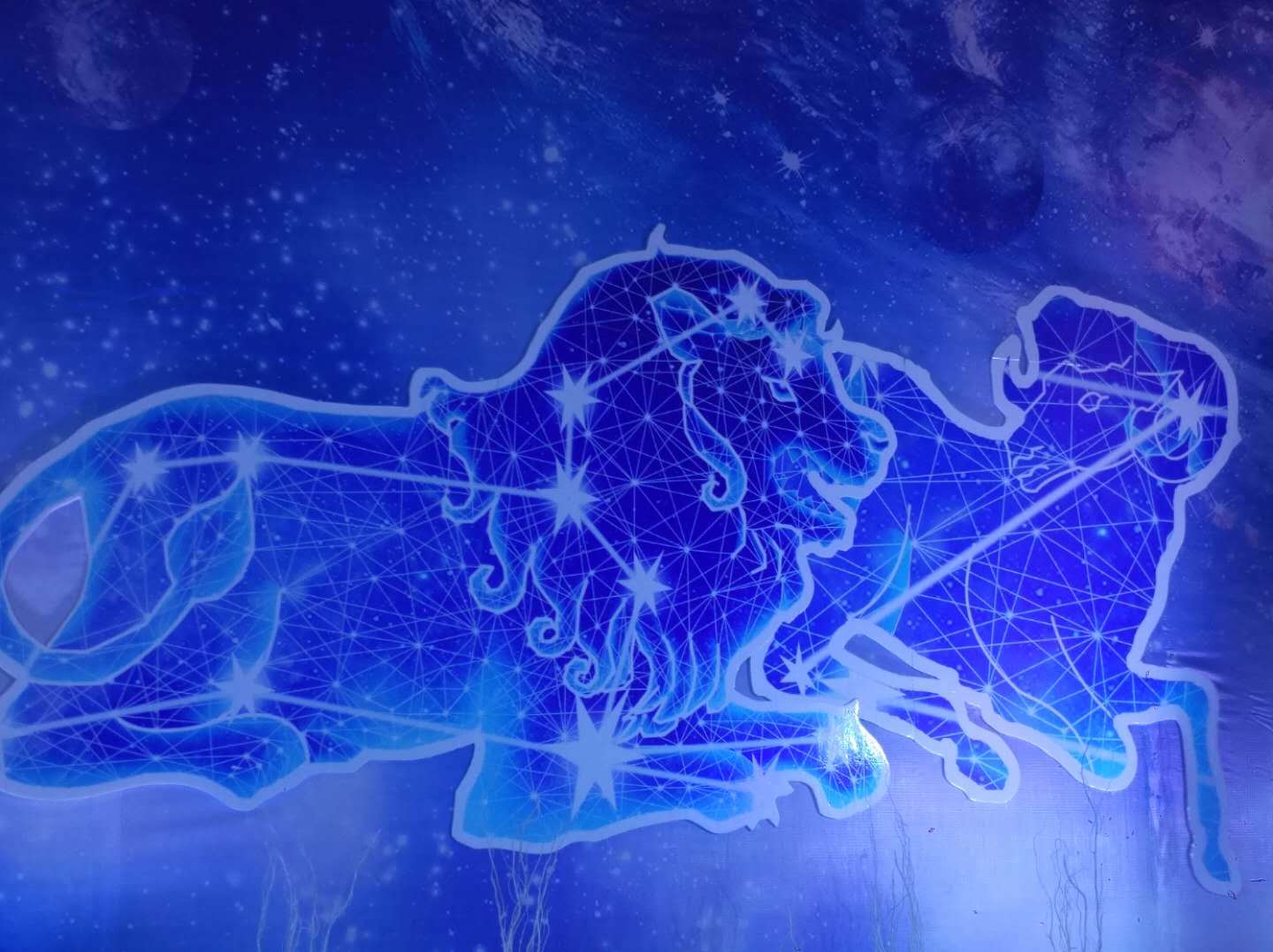 【山丹丹婚礼】套餐 童话风星座婚礼不期而遇