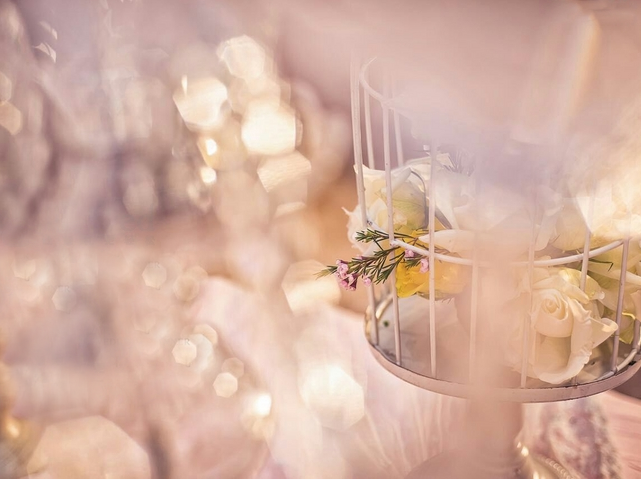 ROMANTIC<定制优选》