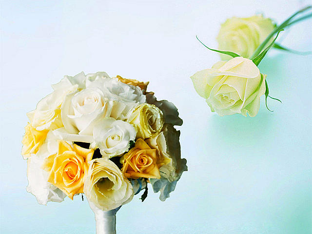 新娘手捧花束——玫瑰的盛宴