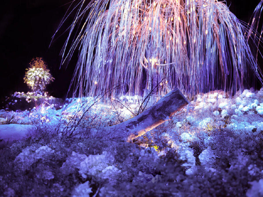 【MOMA魔马·舞台剧婚礼】自然之光 新概念婚礼