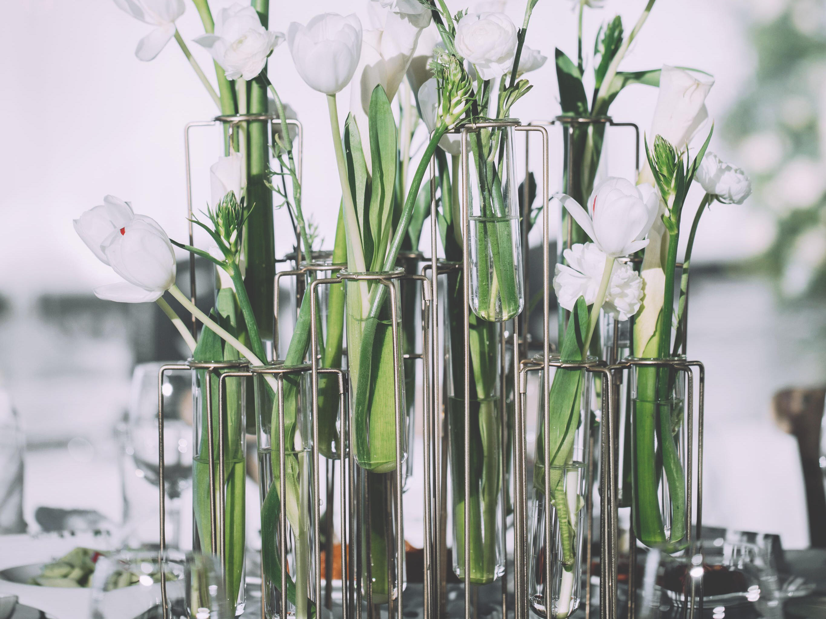 【木薇婚礼】白色简约气质小清新