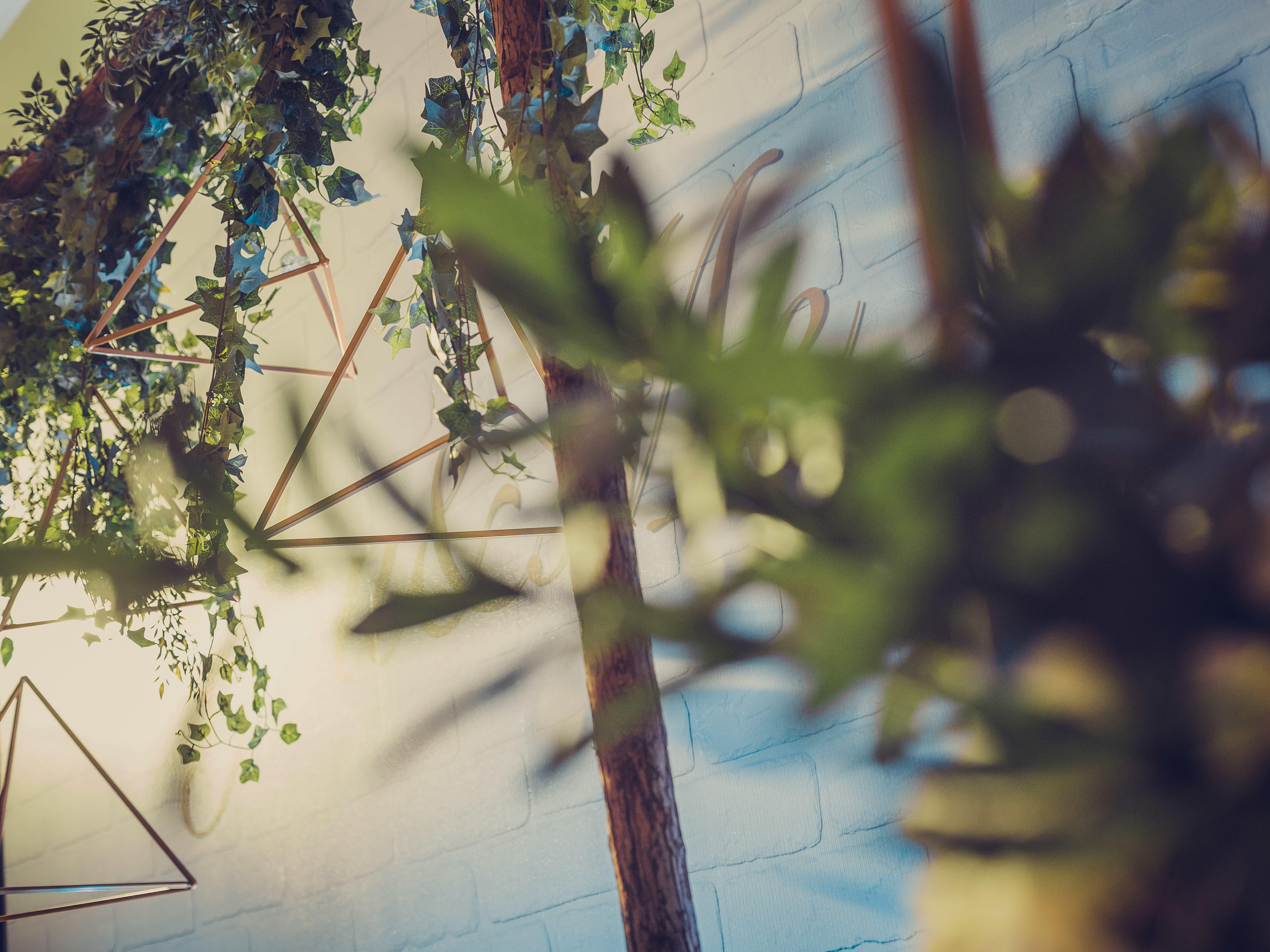 「龙凤天合婚礼」海中洲大酒店萤火之森婚礼