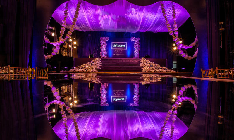 爱你一辈“紫”