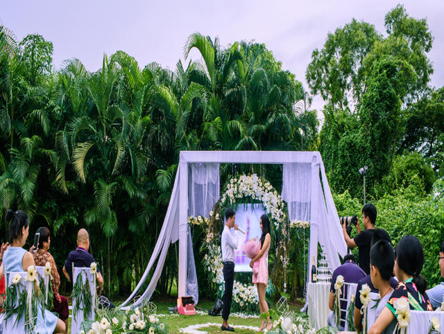 指尖婚礼——《青青我衿，悠悠我心》草坪求婚仪式