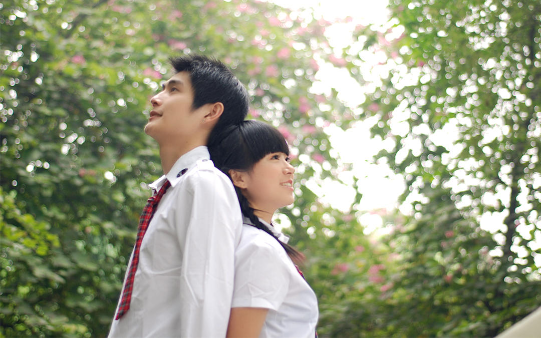 工笔画 新中式  古典简约