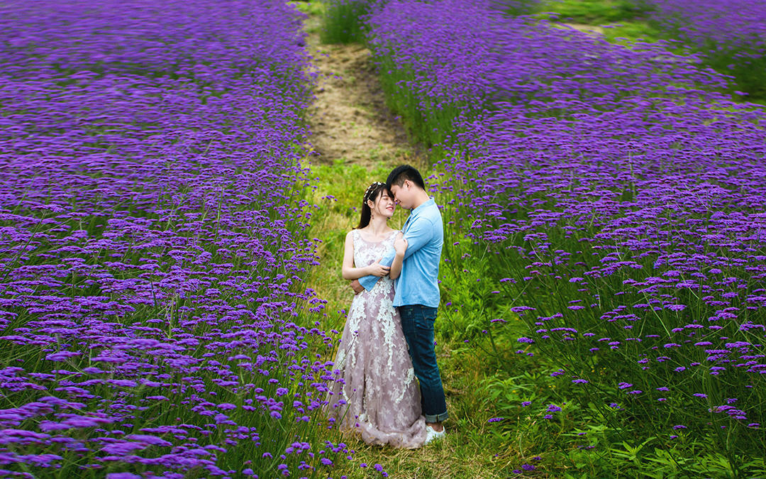 定格大理  住宿/包邮/首席团队