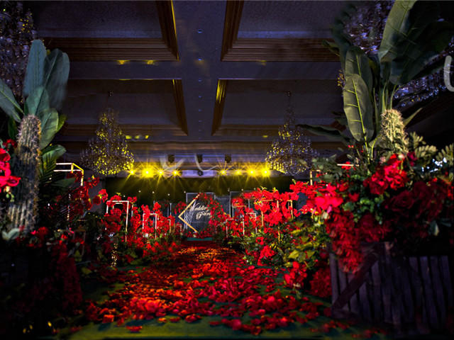 红黑系- 花园里的你（包含四大）