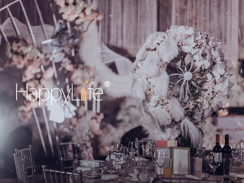 【柔软了彼此】飞羽@浦东四季