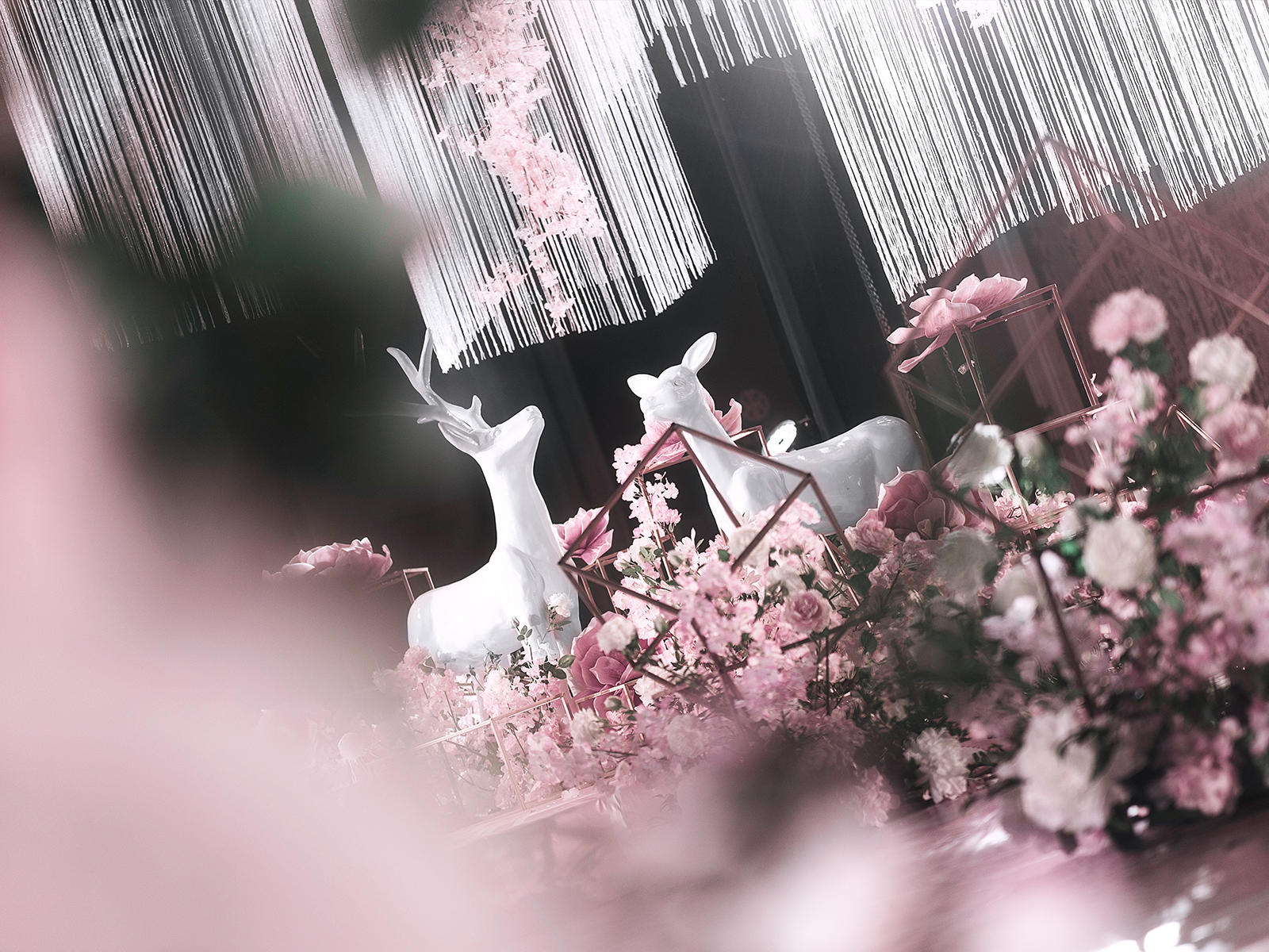 【童话盛宴】 Bloom