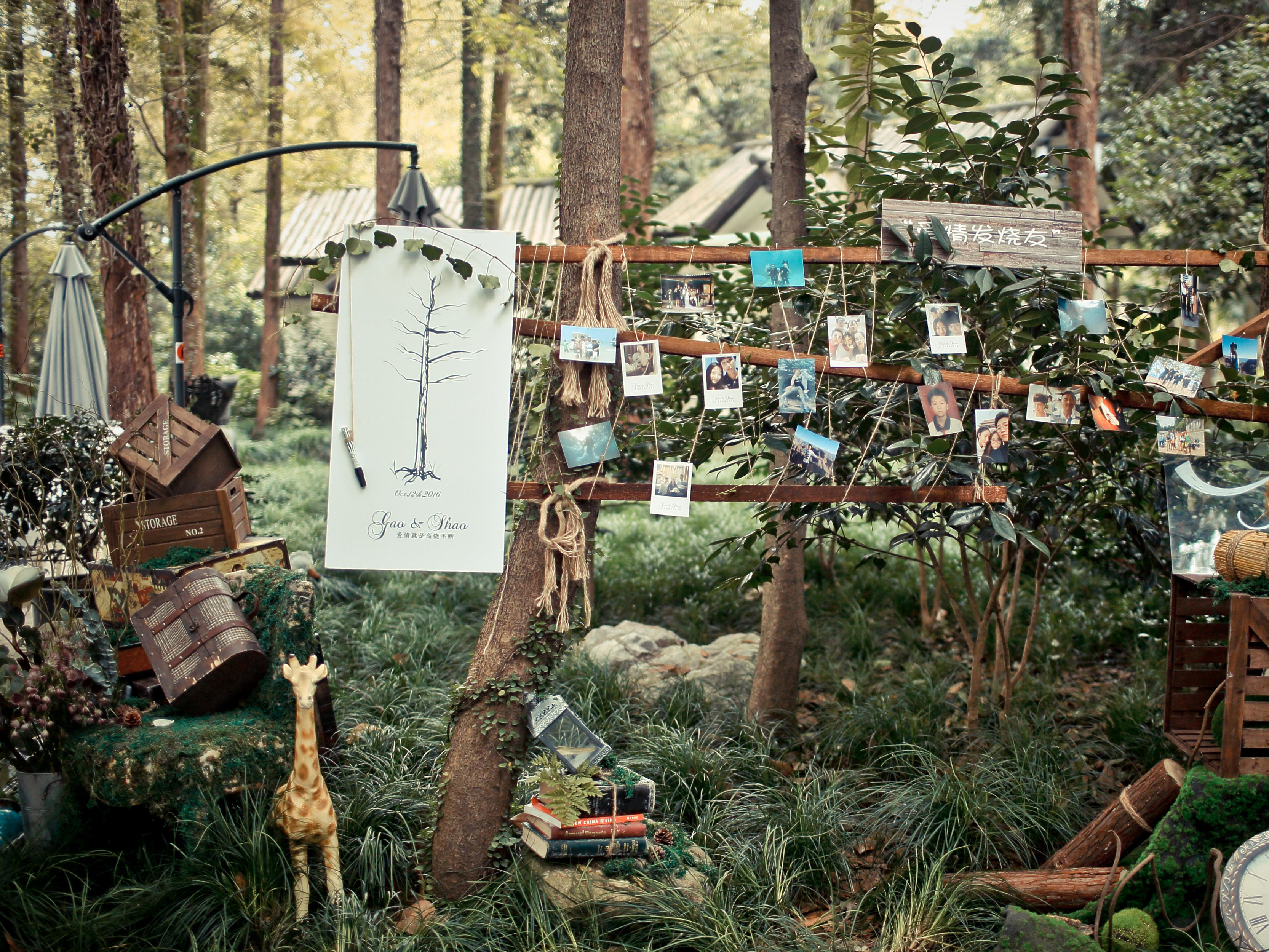 玺悦婚礼 户外小清新超性价比婚礼 