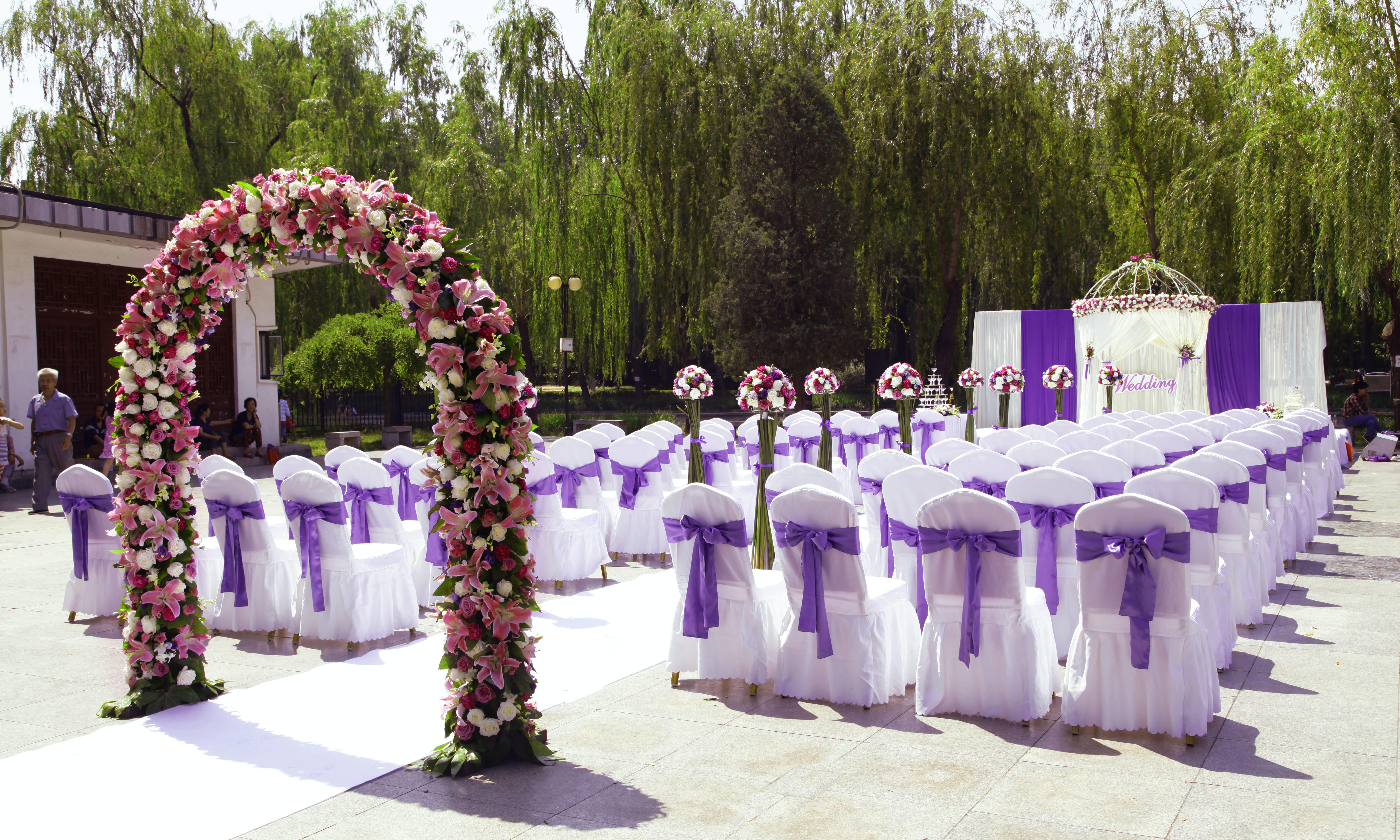 青年湖公园唯美紫色草坪婚礼