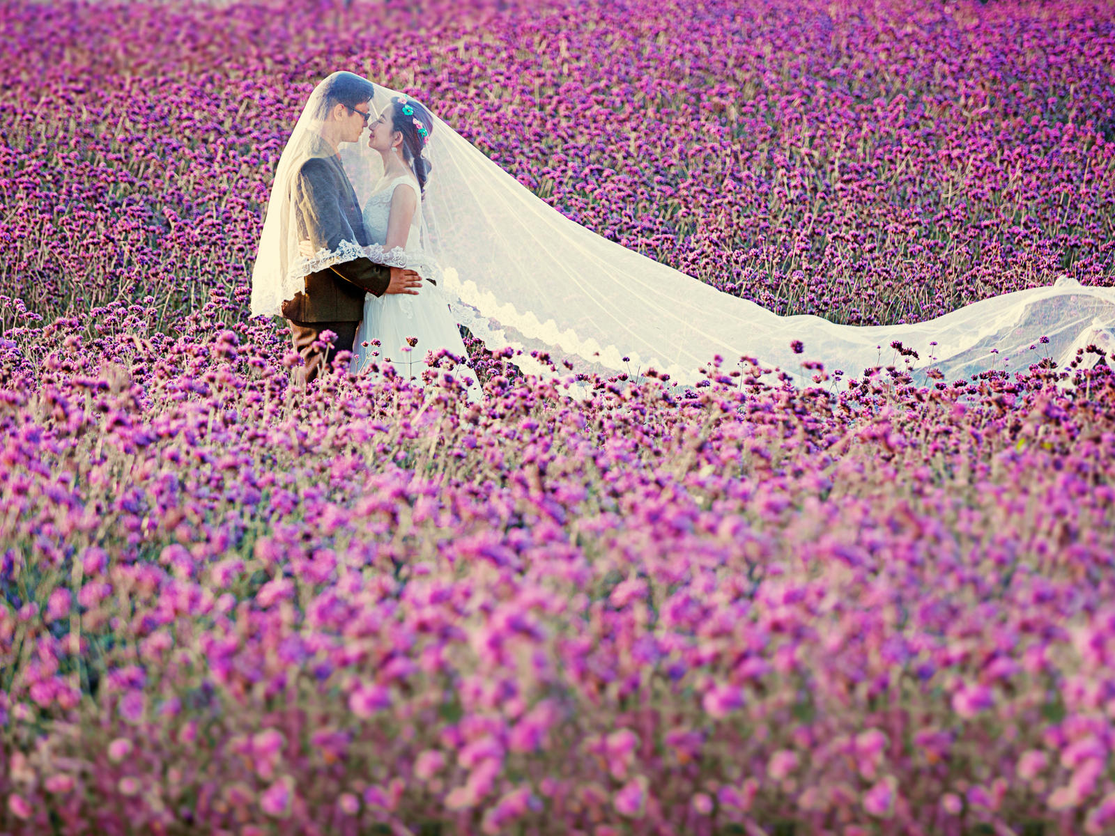 薰衣草莊園+雙游艇出?；榧喺?
                /></div><div   id=