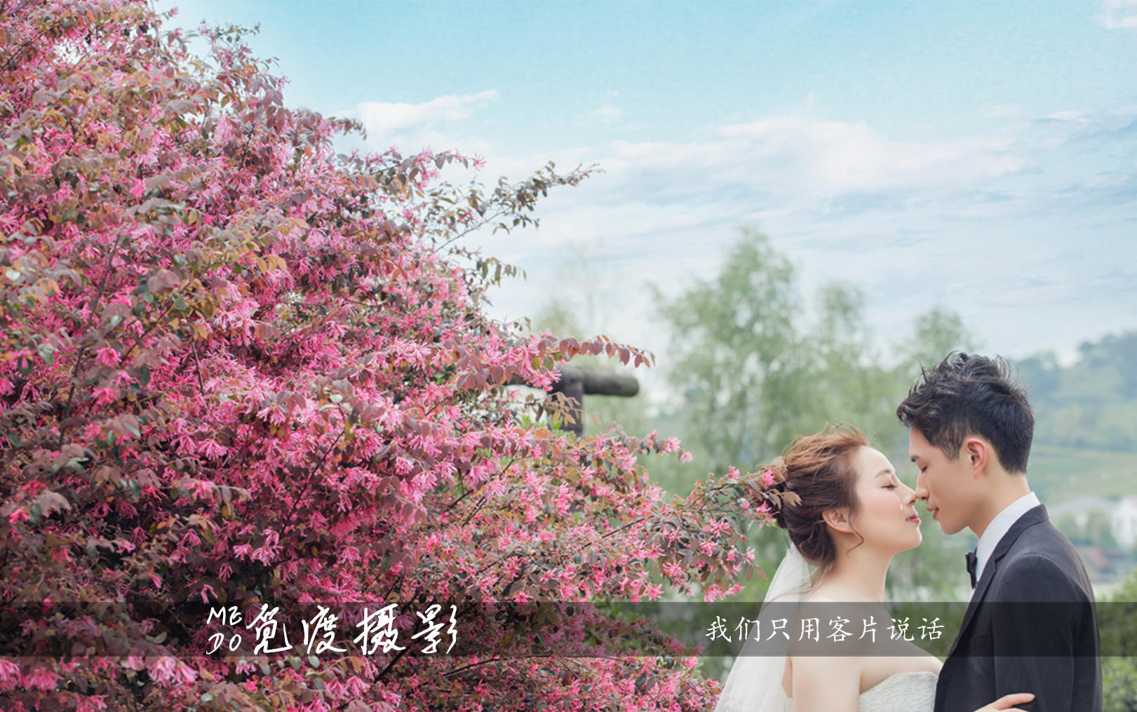 【新春有礼】觅渡《森之艺》爆款