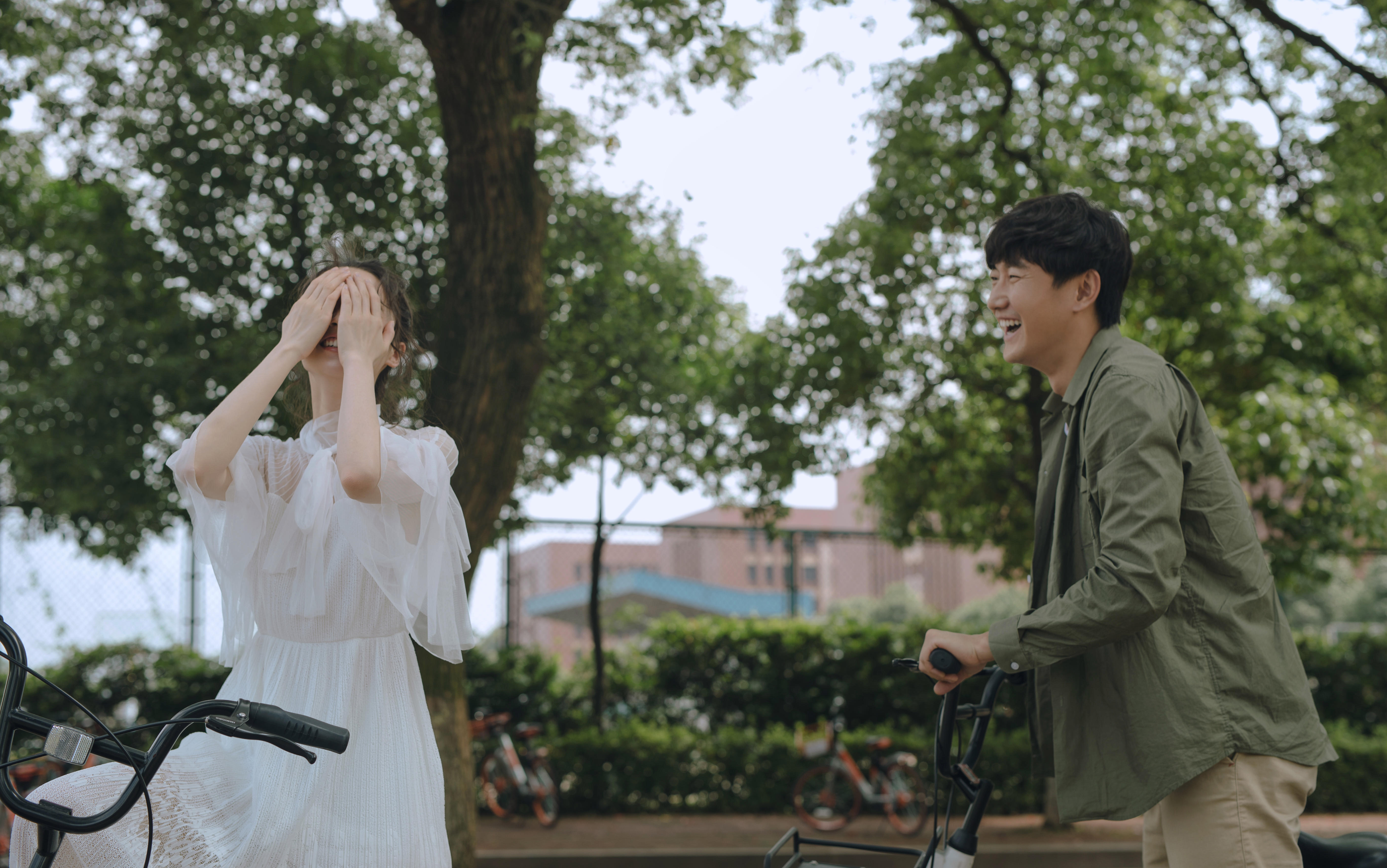 斑马高端定制爱盛开在阳光下